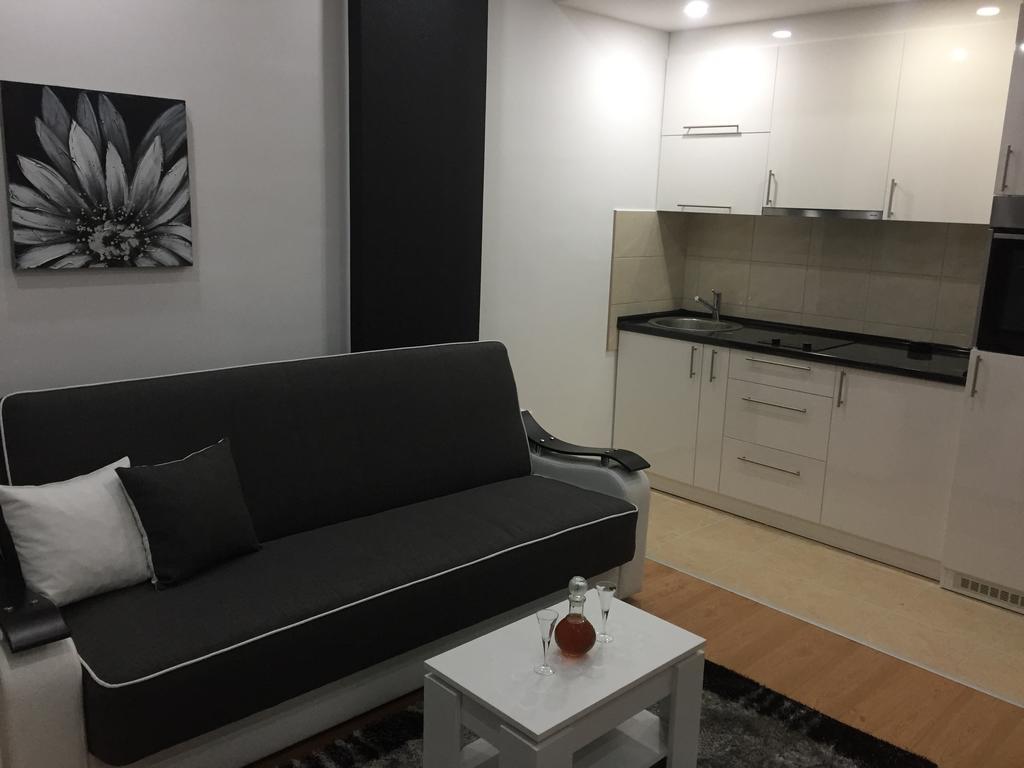 Apartman Jezdic Banja Koviljaca Exterior photo